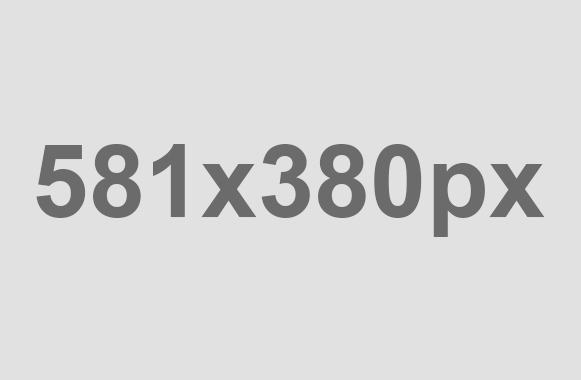 2024 Presidential Election Results By State